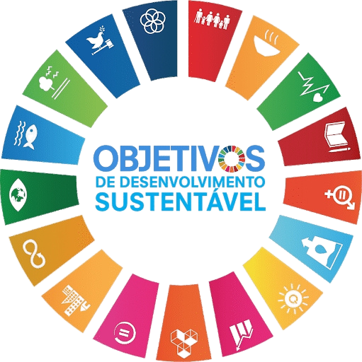 icone ods 2030